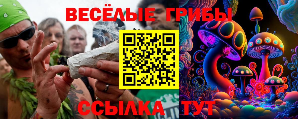 Назарово  Галлюциногенные грибы Cubensis  Вход с VPN 
